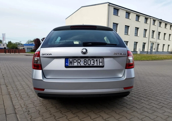 Skoda Octavia cena 66900 przebieg: 128555, rok produkcji 2020 z Golub-Dobrzyń małe 562